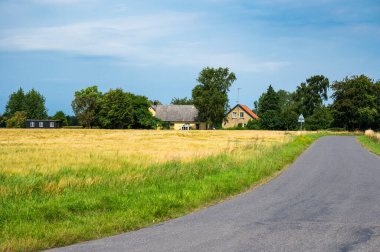 Danimarka 'nın Rodvig Stevns, Seeland, Danimarka kırsalındaki altın buğday tarlaları