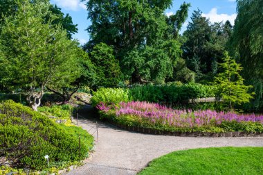 Danimarka 'daki Kopenhag Üniversitesi bahçelerinde renkli çiçekler.