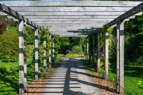 stock image Copenhagen, Denmark, July 24, 2024 - Wooden passway at the horticultural gardens of the university of Copenhagen