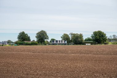 Wolvertem, Flaman brabant, Belçika 'daki bir tarım alanının kahverengi gübreli toprağı.