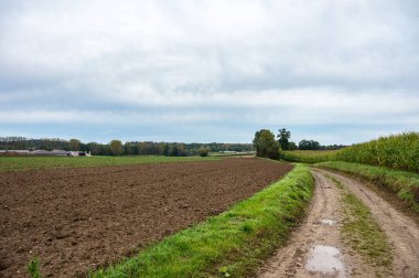 Boutersem, Flanders, Belçika 'daki Flaman kırsalında kirli yollar sürüldü.