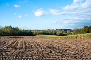 Plowed agriculture fields at the hills of the Flemish countryside during autumn, Lennik, Flemish Brabant Region, Belgium clipart