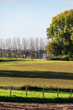 Sonbaharda Flaman kırsalının tepelerinde renkli tarım alanları, Lennik, Flaman Brabant Bölgesi, Belçika