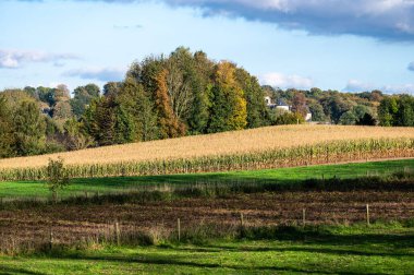 Colorful agriculture fields at the hills of the Flemish countryside during autumn, Lennik, Flemish Brabant Region, Belgium clipart