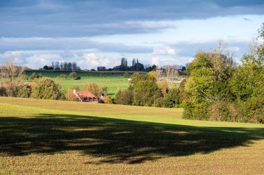 Sonbaharda Flaman kırsalının tepelerinde renkli tarım alanları, Lennik, Flaman Brabant Bölgesi, Belçika