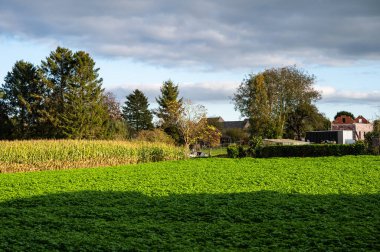 Colorful autumn landscape with agriculture fields in Sint Martens Lennik, Flemish Brabant, Belgium clipart