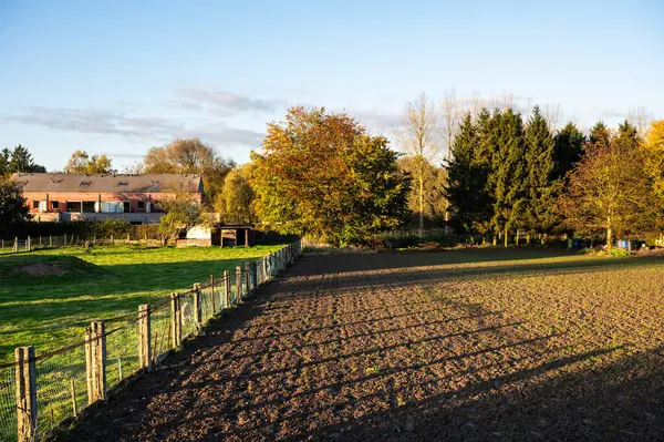 Sint Anna Pede, Flaman Brabant, Belçika 'da ekili toprağı ve çayırı var.