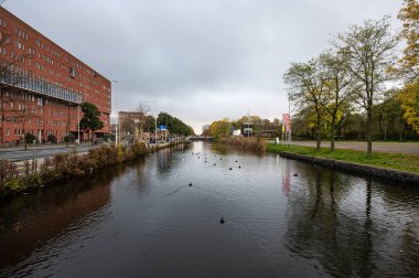 Amsterdam, Hollanda 'daki Tuinpark Nut en Genoegen bahçelerinin kanalında 14 Kasım 2024 sonbahar yansımaları.