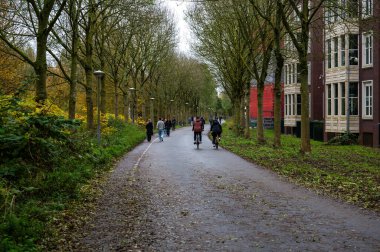 Amsterdam, Hollanda, 15 Kasım 2024 'te Ceneviz' deki Tuinpark cevizi bahçesinden bisikletçiler geçiyor.