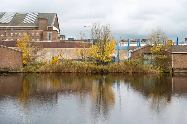 Amsterdam, Hollanda 'daki Rijpgracht' ta renkli sonbahar yansımaları, NOV 15, 2024