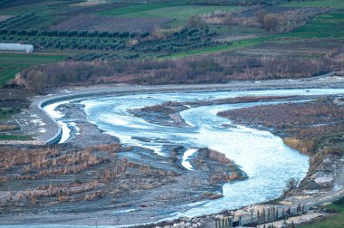 Arnavutluk 'un Berat kentinde yarı kurumuş Osum nehrinde başıboş gezen