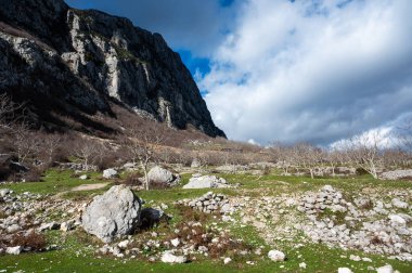 Fallen stone and rock formation with a mountain background at Gamti Mountain, Albania clipart