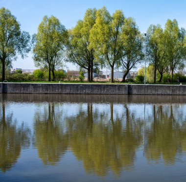 Halluin 'deki Lys Nehri' ndeki ağaç yansımaları, Fransa 'nın Ayrılışı, 11 Nisan 2025