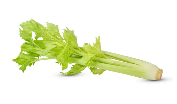 Celer Izolovaný Bílém Pozadí — Stock fotografie