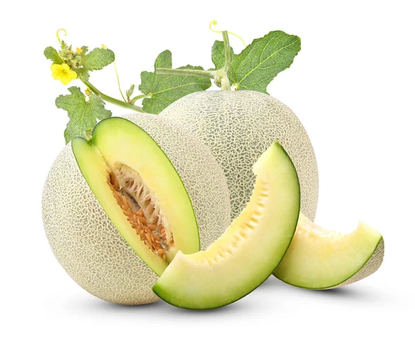 Melon Melonowy Izolowany Warstwie Alfa — Zdjęcie stockowe