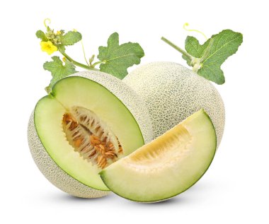 Kavun alfa tabakasında izole edilmiş.