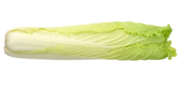 Chinese Cabbage Michilli Isolated White Background Top View — Stockfoto