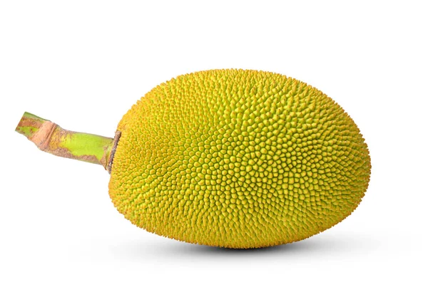 Jackfruit Isolated White Background — Stock Photo, Image