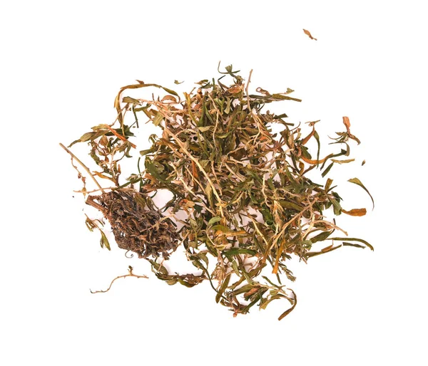 Cannabis Tee Hanftee Hanfblatt Isoliert Auf Weißem Hintergrund Ansicht Von — Stockfoto