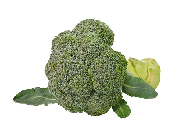 Stock image The Broccoli isolated on white background