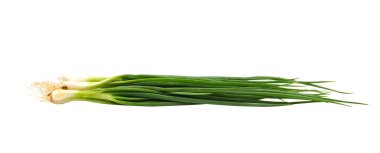 fresh Spring Onion isolated on background clipart
