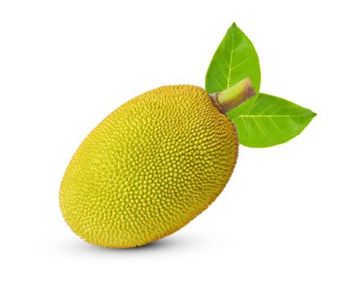 Beyaz arkaplanda yaprakları olan Jackfruit 