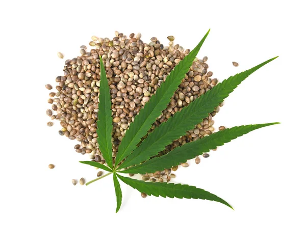 Pile Hemp Seeds Leaf Isolated White Background Top View — Stock Photo, Image