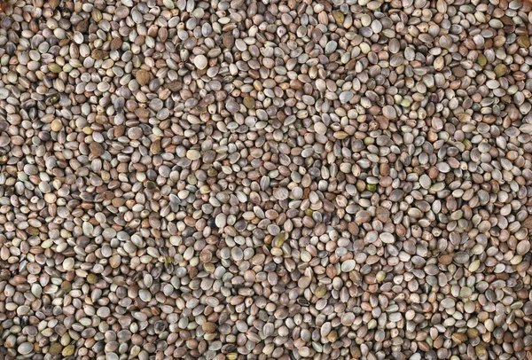 Close Hemp Seed Background Hemp Seed Pattern Background — Stock Photo, Image