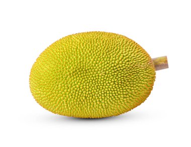 Beyaz arkaplanda Jackfruit 'in tamamı izole 