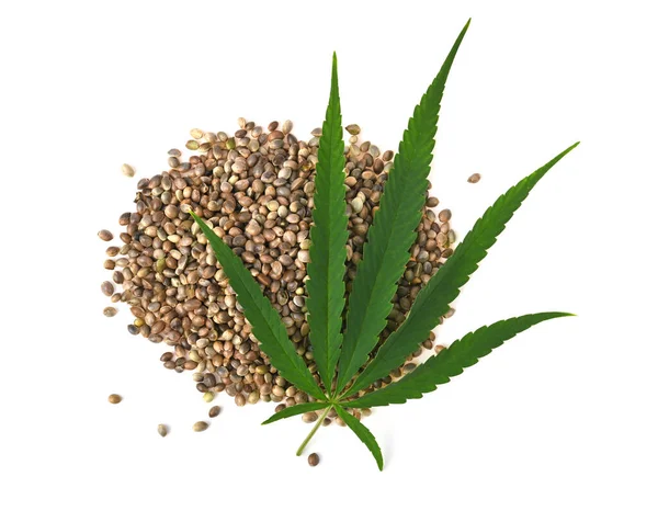 Pile Hemp Seeds Leaf Isolated White Background Top View — Stock Photo, Image