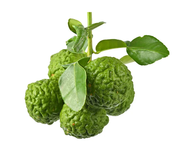 Bunch Bergamot Kaffir Lime Fruit Leaf Isolated White Background — Foto de Stock