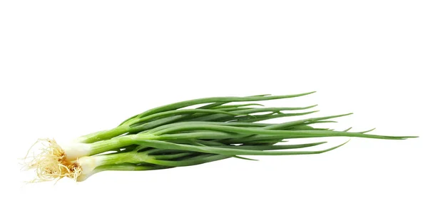 Fresh Spring Onion Isolated Background — Stock Photo, Image