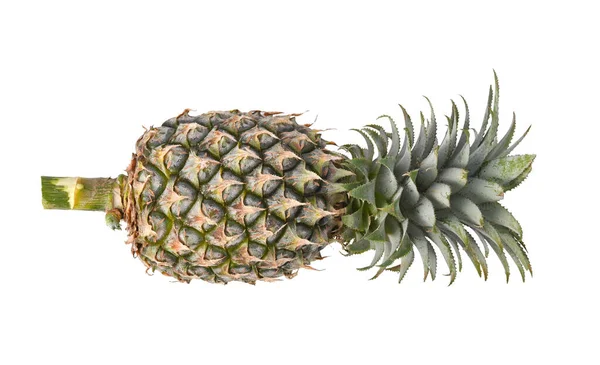 Heel Green Pineapple Geïsoleerd Witte Achtergrond Bovenaanzicht — Stockfoto