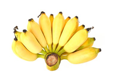 Beyaz bir arka planda ekilmiş muz izole edilmiş. Muz besinleri çeşitli enerjiye, karbonhidrata, proteinlere, vitaminlere ve minerallere sahiptir..