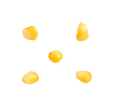 Lezzetli mısır tohumları koleksiyonu, beyaz üzerine.