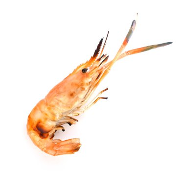 Izgara karidesi beyaz arkaplanda izole edildi