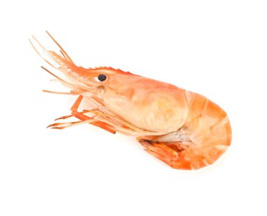 Izgara karidesi beyaz arkaplan görünümünde izole edildi