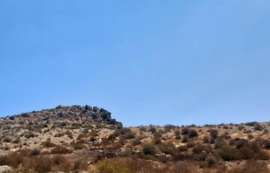 Güzel bir dağ manzarası ve bitkileri.