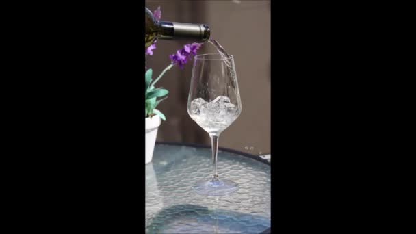 将白葡萄酒倒入装有冰块的酒杯中的垂直视频站在餐馆透明的桌子上 在阳光灿烂的日子 在阳台上喝一杯冰镇的白葡萄酒的视频 早午餐 — 图库视频影像