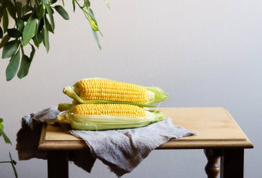 Gri duvar arkaplanının üzerinde, ahşap bir masanın üzerinde yaprakları olan taze mısır koçanları. Açık kahverengi ahşap bir masada kır tarzında çiğ mısır koçanları. Mısır koçanında canlı fotoğraf, doğal yıldırım, köy tarzı.