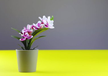 Renkli sarı arkaplanda çiçek saksısında pembe orkide. Kopya alanı olan orkide çiçek afişi, minimalist bir kavram. Tropik mor orkide renkli arka planda saksıda suni çiçek