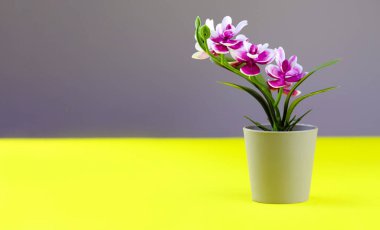 Renkli sarı arkaplanda çiçek saksısında pembe orkide. Kopya alanı olan orkide çiçek afişi, minimalist bir kavram. Mor orkide renkli arkaplanda saksıda suni çiçek