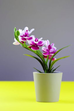 Renkli sarı arkaplanda çiçek saksısında pembe orkide. Fotokopi alanı olan dikey orkide çiçek pankartı, minimalist bir kavram. Tropik mor orkide renkli arka planda saksıda suni çiçek