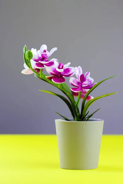 Pink orchid in flower pot on colored yellow grey background. Orchid flower vertical banner with copy space, minimalistic concept. Tropical purple orchid artificial flower in pot on colorful background