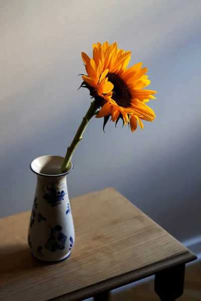 Sunflower in a vase on a wooden table. Elegant sunflower standing alone, neutral tones. A sunflower vase scene with soft natural light