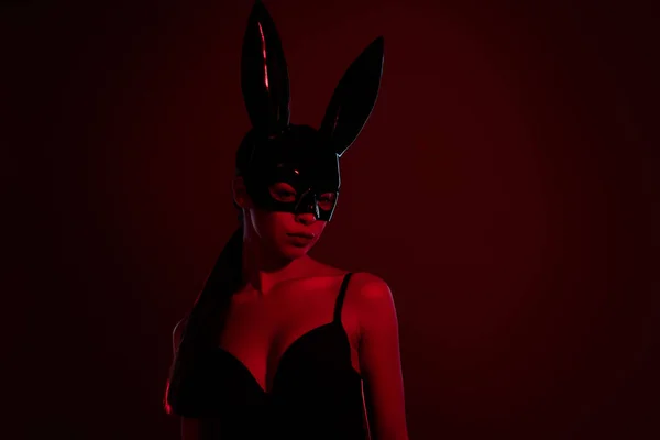 Photo Stunning Fore Play Lady Wear Black Rabbit Costume Nightclub — Stock Photo, Image