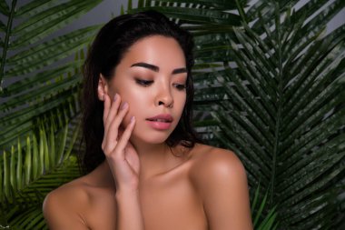 Çekici Asyalı bir kadının eko ürün kaplıca salonuna dokunuşunun fotoğrafı izole tropikal yaprakların arka planından omuzlar..