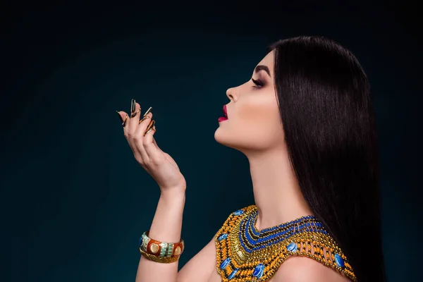 Profilseite Foto Der Perfekten Idealen Ägyptischen Kaiserin Dame Katze Bösen — Stockfoto