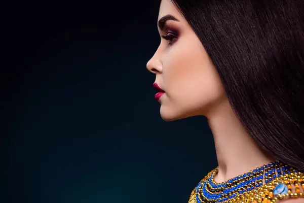 Photo Stunning Lady Having Theme Party Cosplay Nefertiti Character Look — Stock Photo, Image