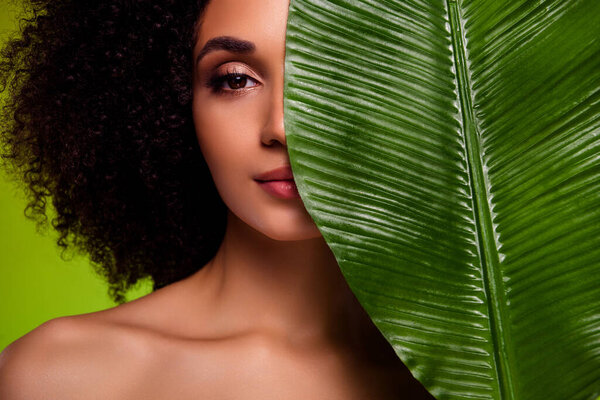 Photo of attractive aesthetic girl close face with large exotic tropical leaf advertising alternative cosmetology.